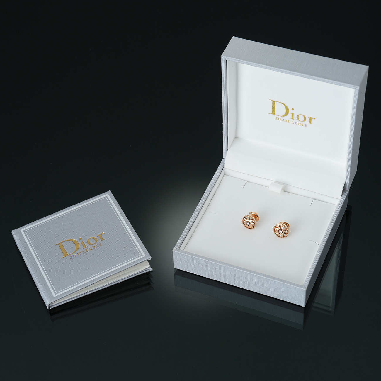 CHRISTIAN DIOR(USED)크리스찬디올 로즈 드 방 이어링